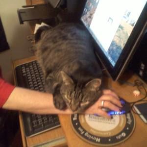 Meet your Posher, Sue